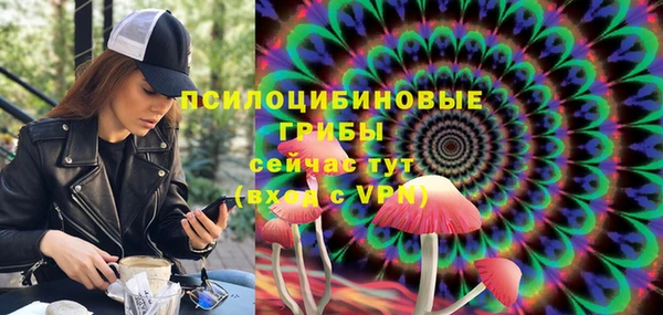 mdpv Зеленодольск