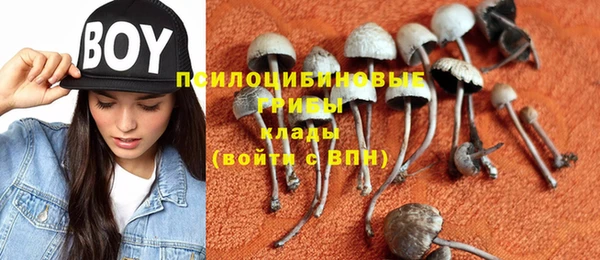 крисы Шадринск