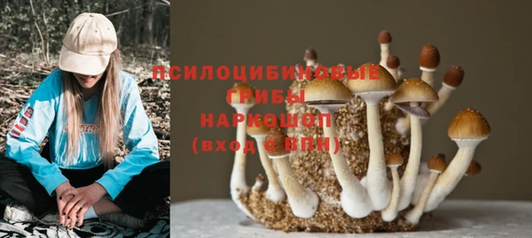 мдма Зерноград